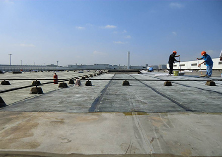 上?；瘜W(xué)建材協(xié)會防水材料及技術(shù)分會成立，公司董...